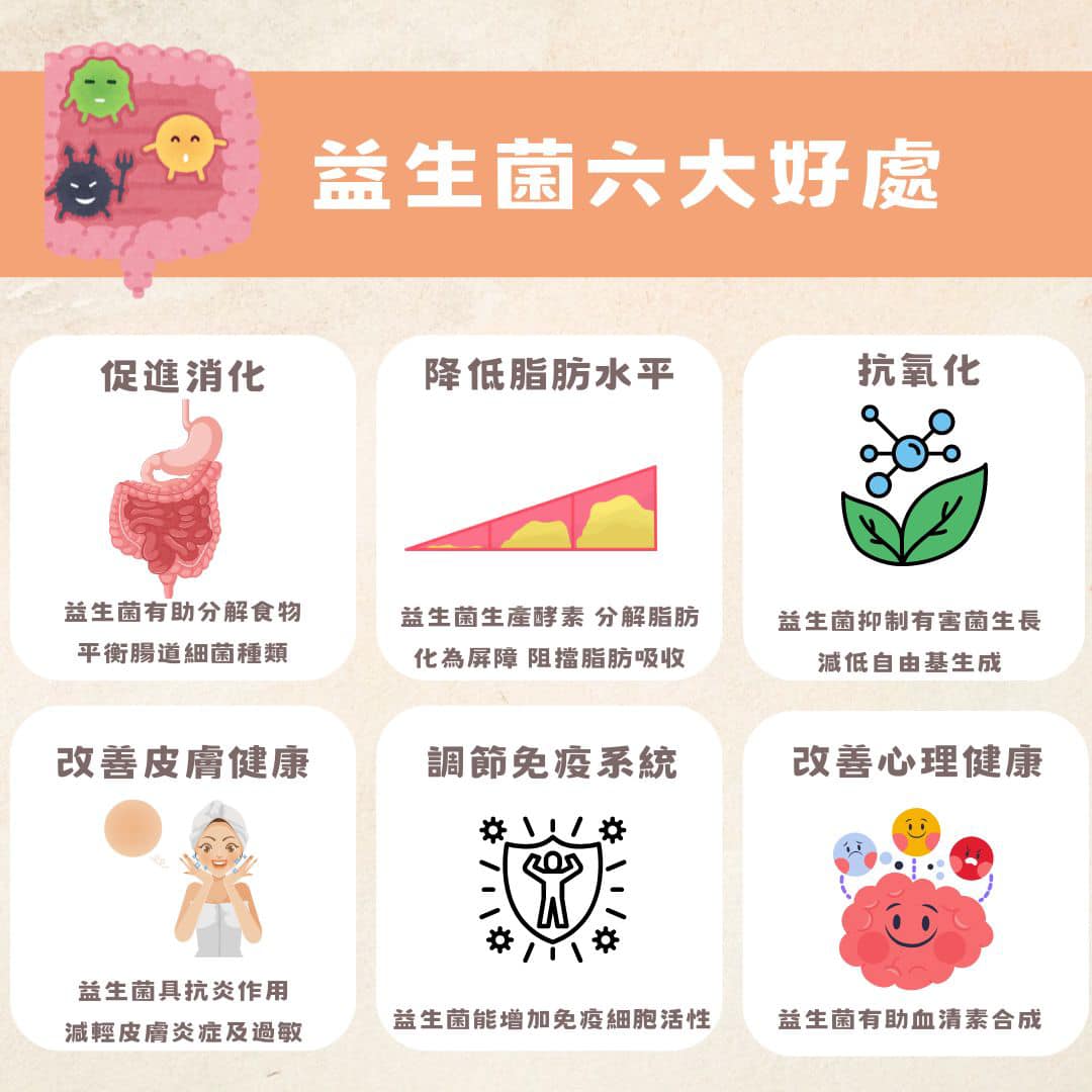 442505756_495454689665661_2052937429631938604_n